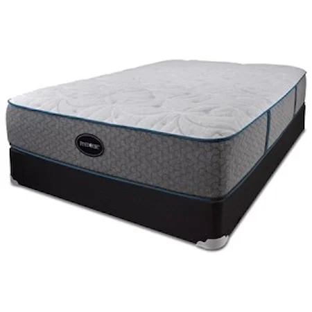 Queen Luxury Plush Mattress and 9" Black Foundation